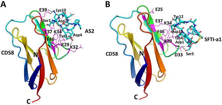 FIGURE 6.