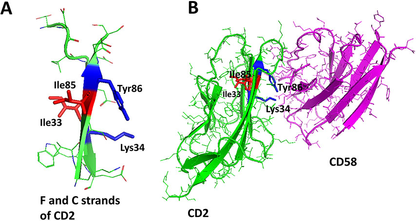 FIGURE 4.