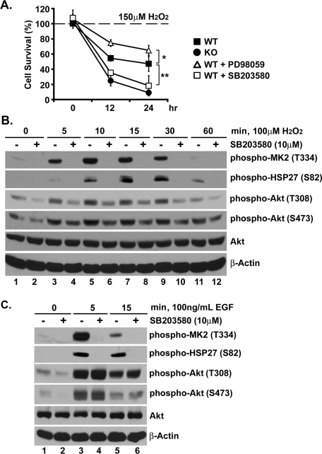 FIGURE 6: