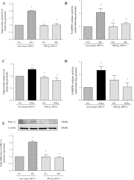 Fig. 4