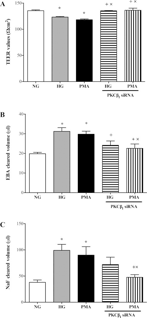 Fig. 7