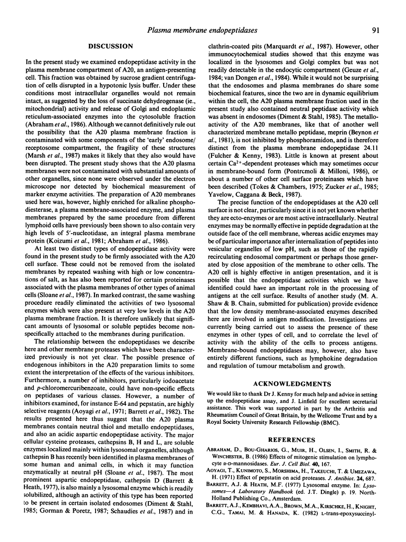 91