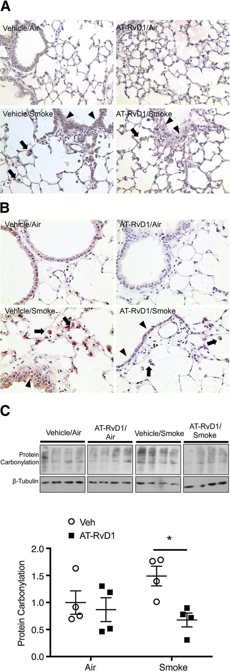 Figure 6