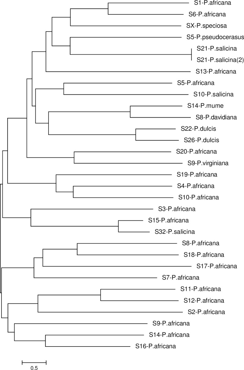 Fig 5