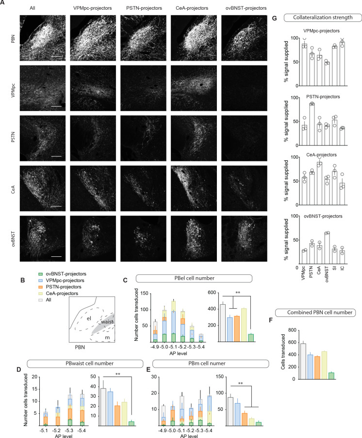 Figure 2—figure supplement 1.