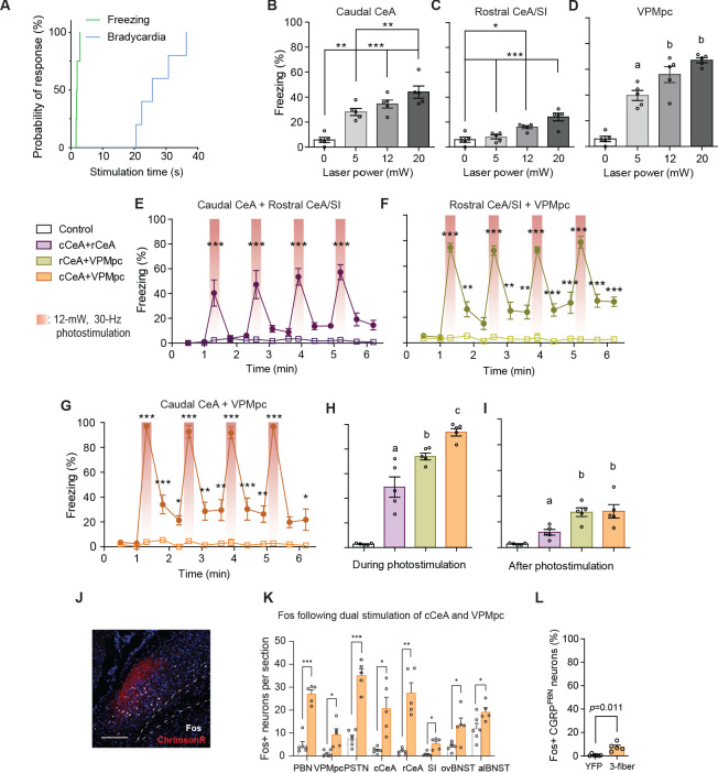 Figure 6—figure supplement 1.