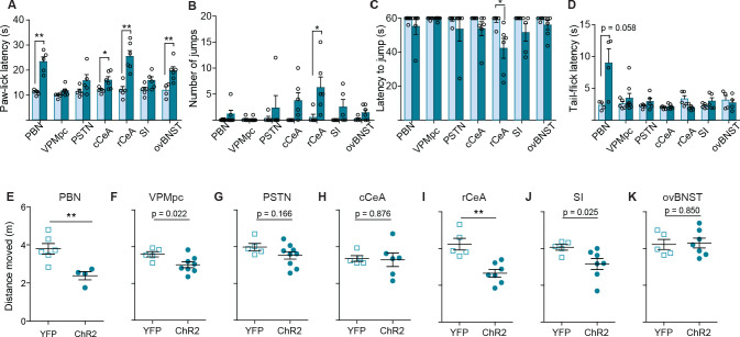 Figure 4—figure supplement 1.