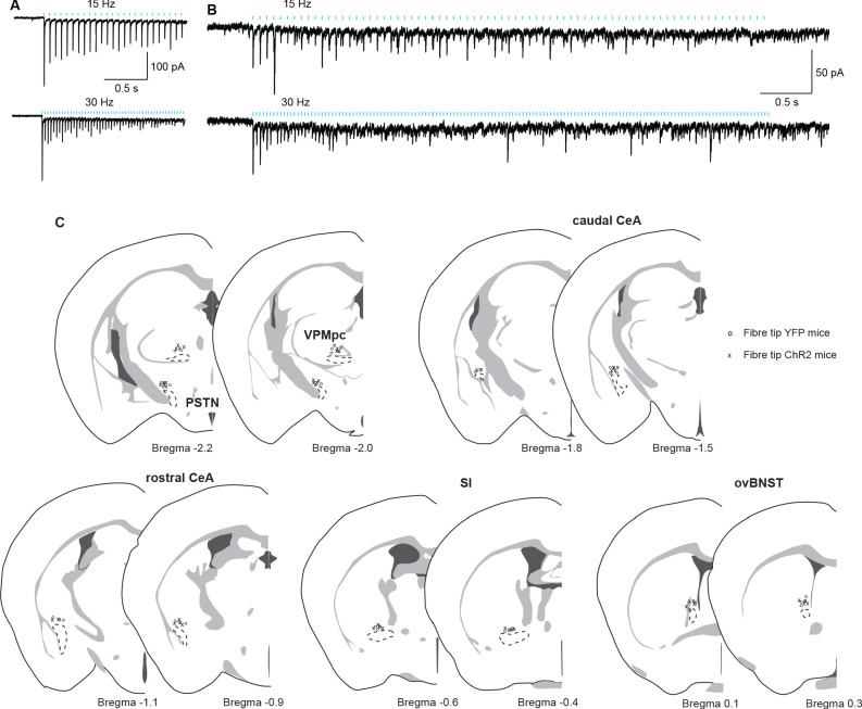 Figure 3—figure supplement 1.