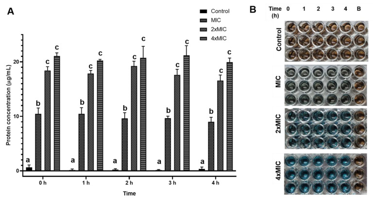 Figure 5