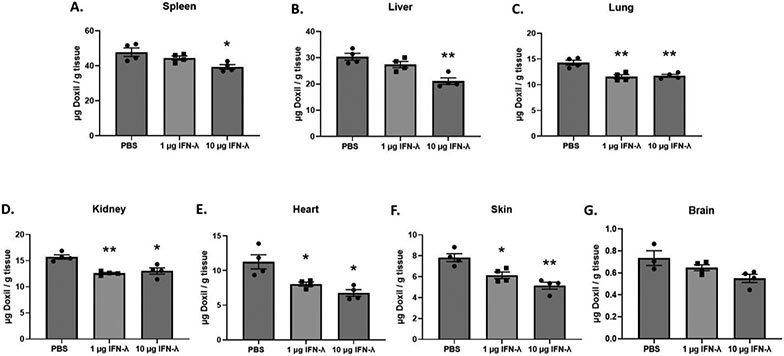 FIGURE 5: