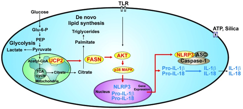 Figure 12