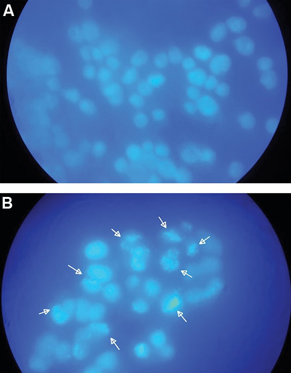 Fig.5