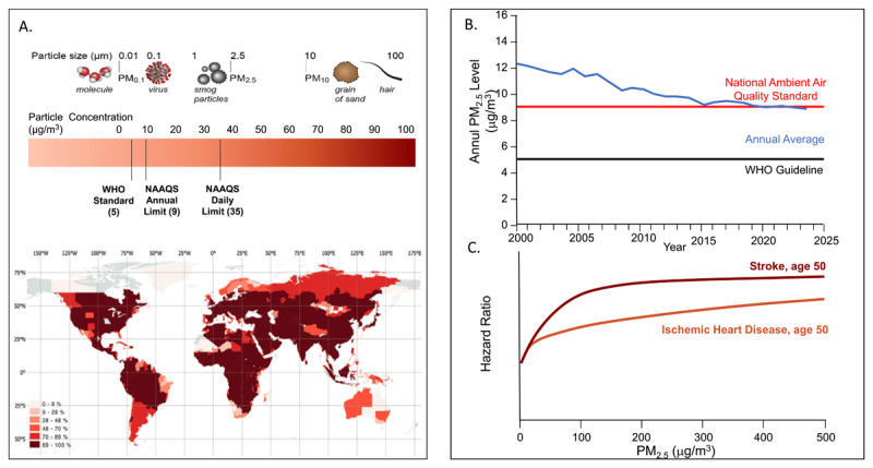 (A) Particulate matter components, sizes, and standards. (B) Annual average PM2.5 concentrations in US with increases and flattening attributable to wildfires. (C) Shape of exposure–response relationships between PM2.5 air pollution and CVD across global exposures, modeled for a 50-year-old person.