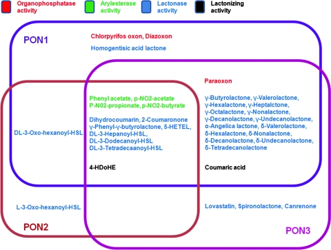 FIG. 7.