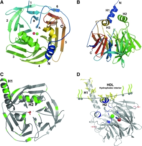 FIG. 3.