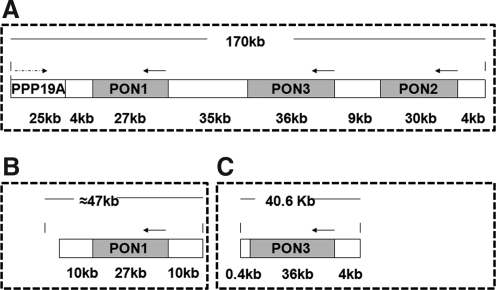 FIG. 9.