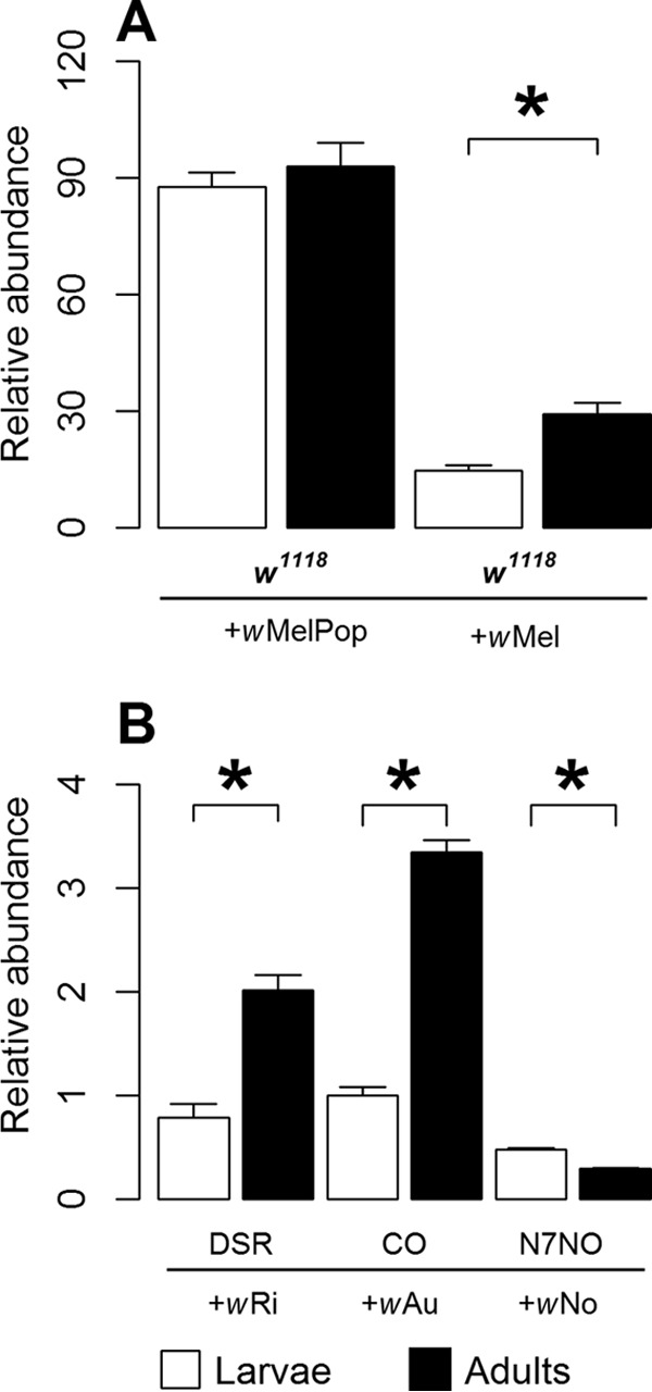 FIG 3