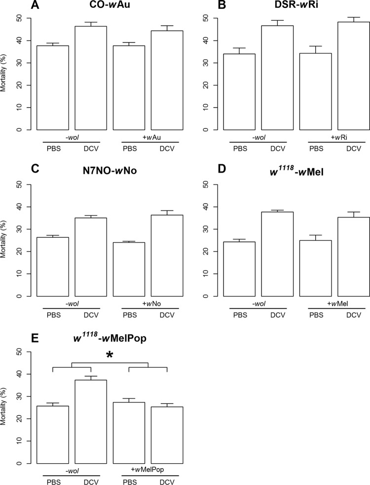 FIG 2