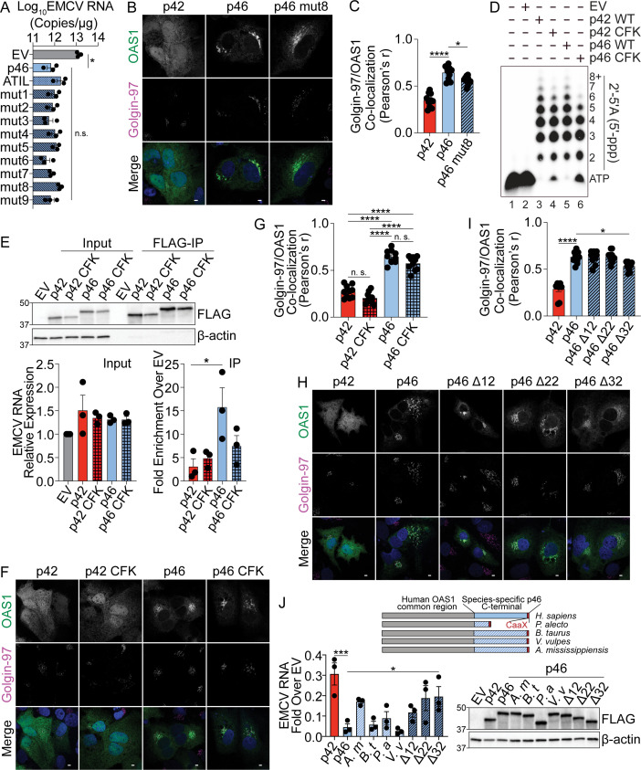 Figure 5—figure supplement 1.