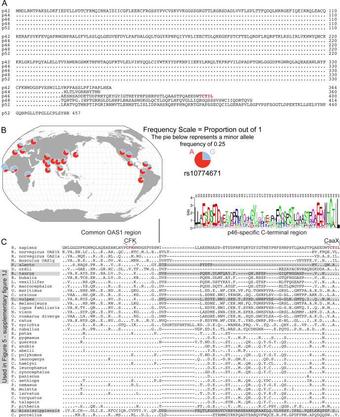 Figure 1—figure supplement 1.