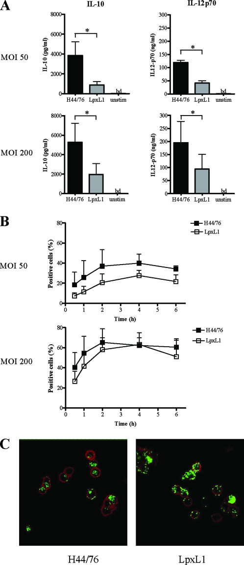 FIG. 2.