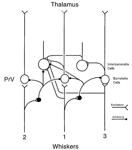 FIG. 8