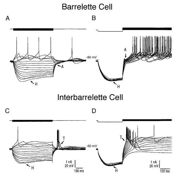 FIG. 3