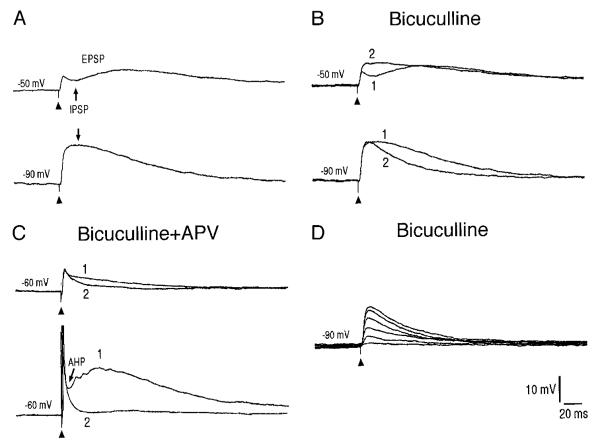 FIG. 6