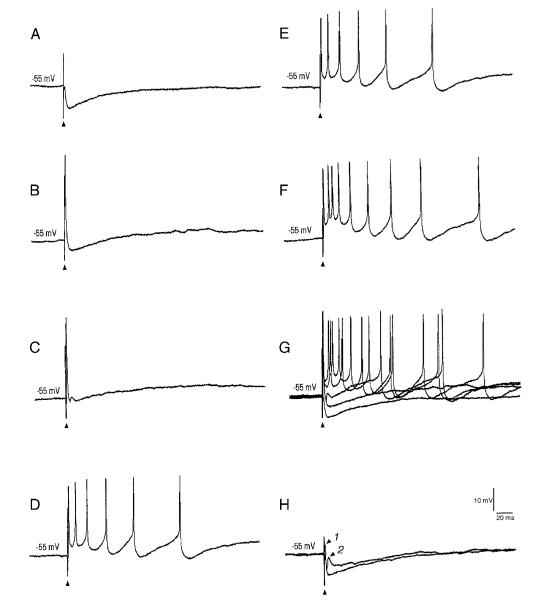 FIG. 7