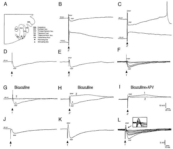 FIG. 5