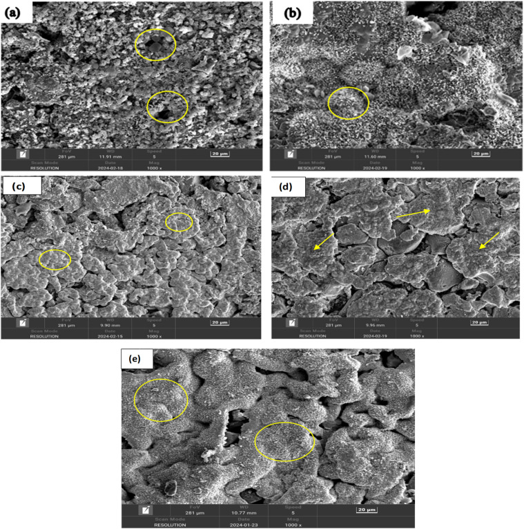 Fig. 11