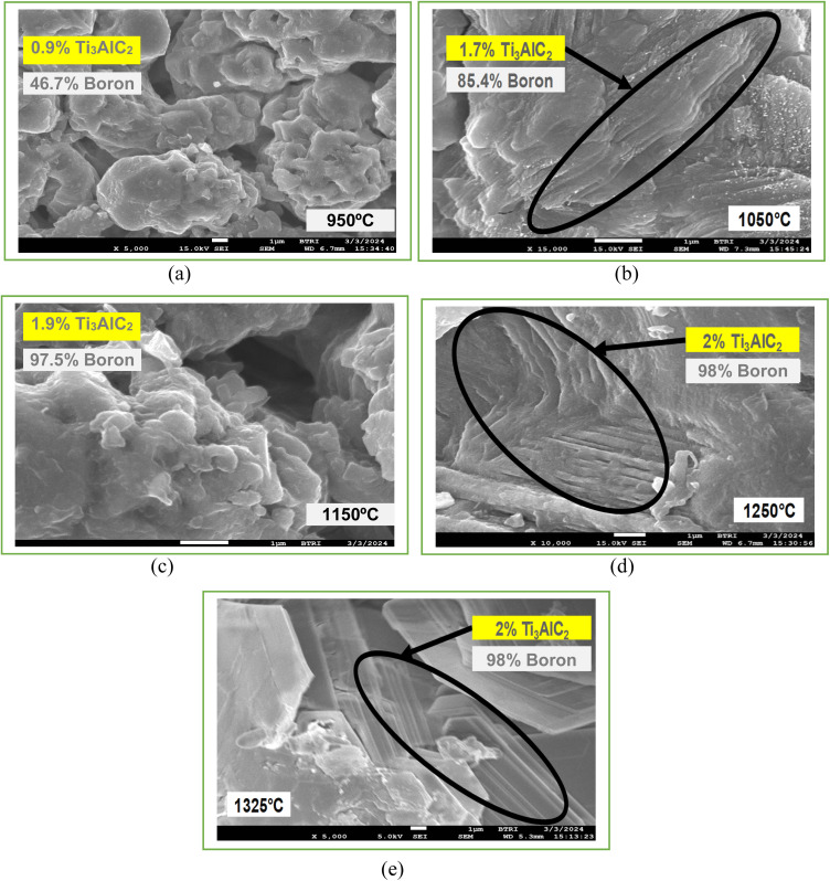 Fig. 9