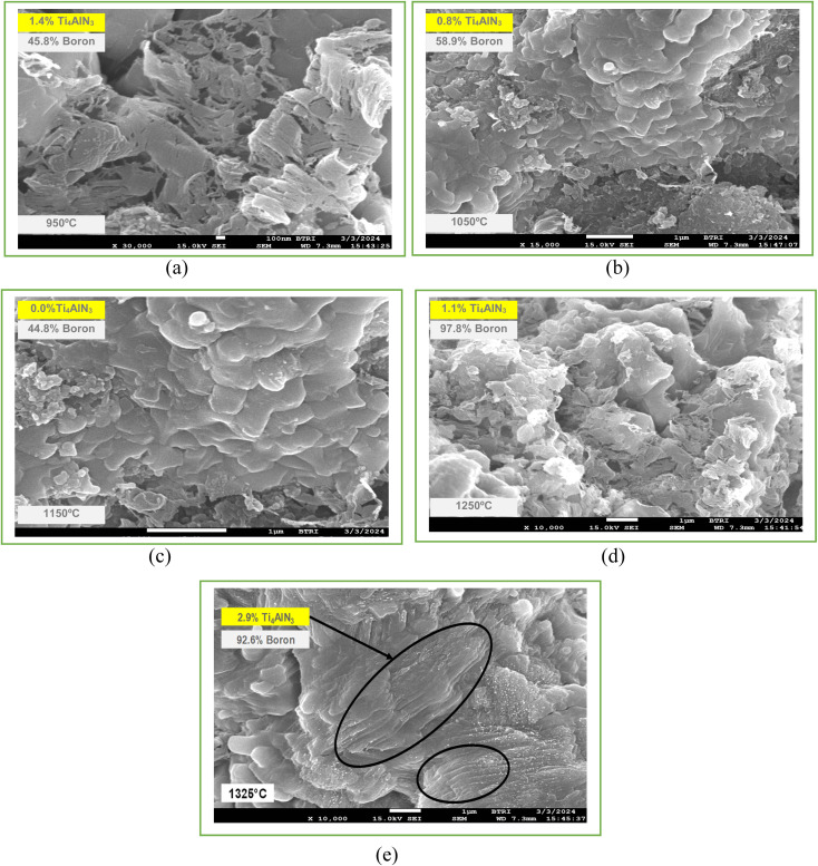 Fig. 8