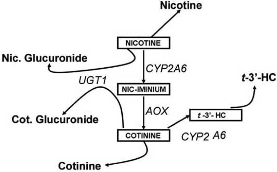 Fig. (1)