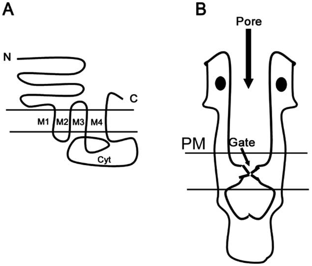 Fig. (3)