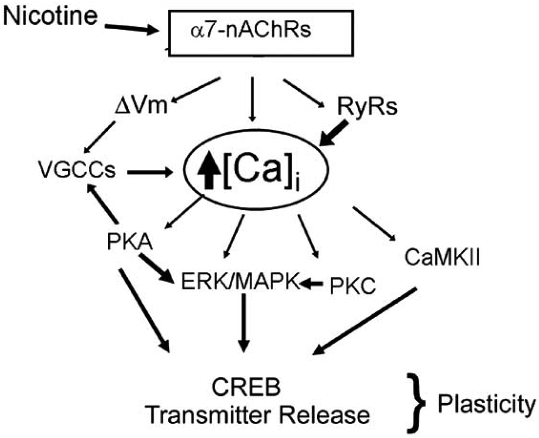 Fig. (4)