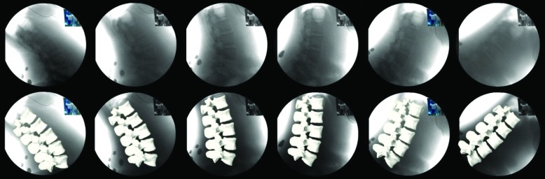 Fig. 3