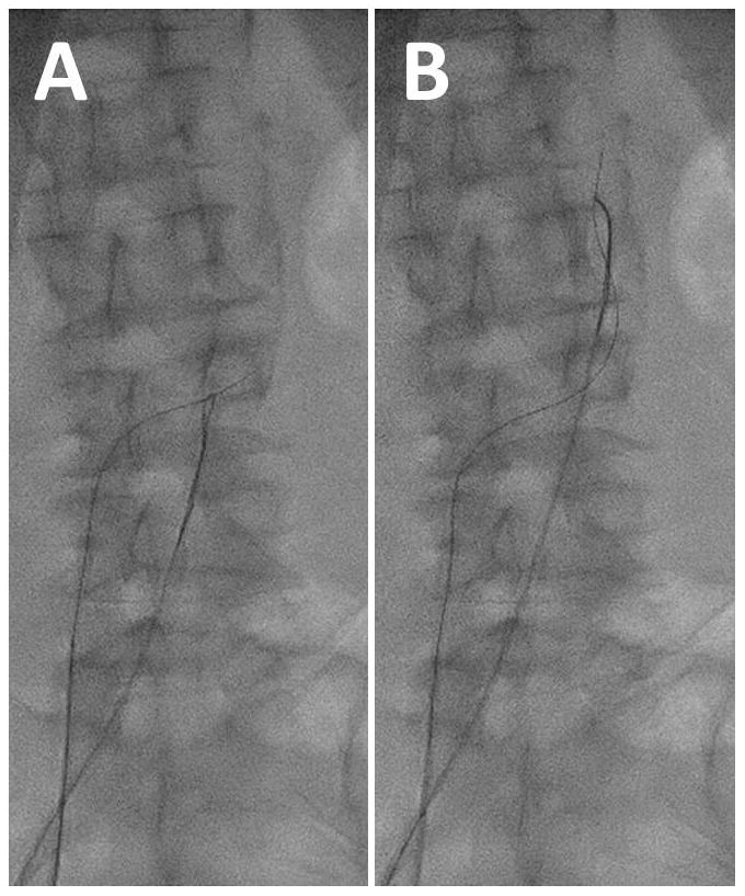 Fig. 8