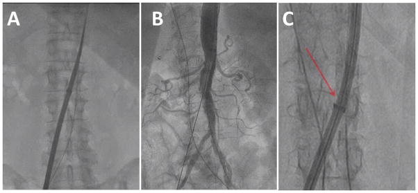 Fig. 9