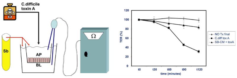 Fig. (2)