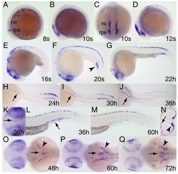 Figure 7