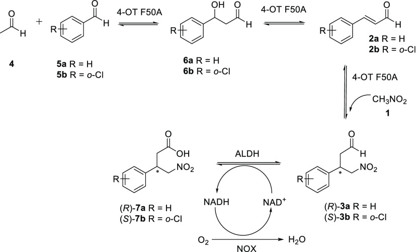 Scheme 3