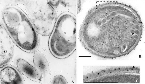 FIG. 5.