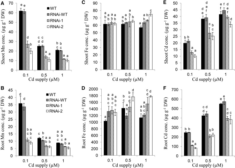 Figure 6.