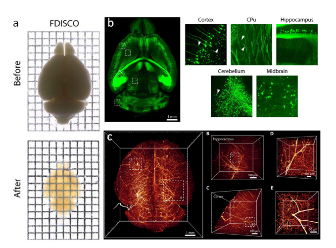 Fig. 3.