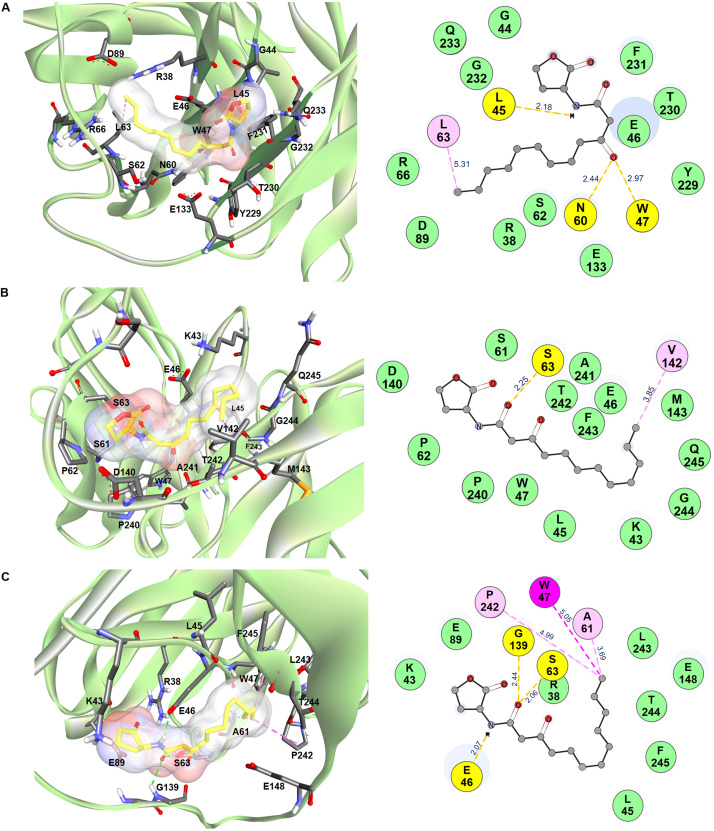 FIGURE 2