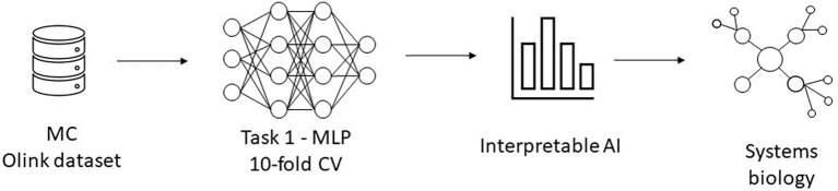 Supplementary Fig. 13