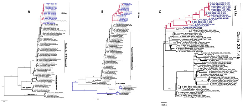 Figure 4