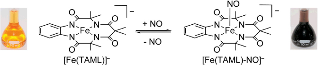 Scheme 5