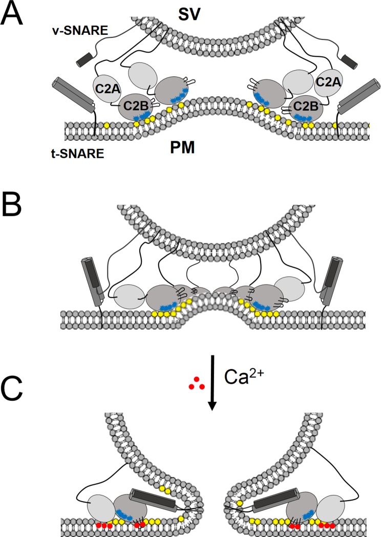 Figure 5.